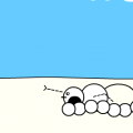 'snow sharks'