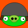 Helmet pig