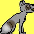 Catz go...
