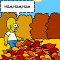 Fall(both ways)