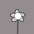 flowers!