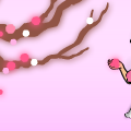 TotD: Cherry Blossom