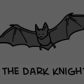 Batman Begins