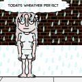 the gray day