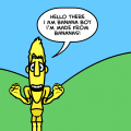 Mr. P body