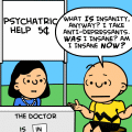 What is Insanity, Anyway?