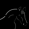 'EQUUS CABALLUS'