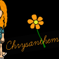 Chrysanthemum