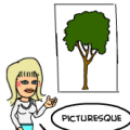 'tree'