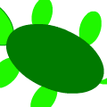 turtle
