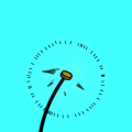 'Dandelion'