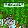'The Feral Koala'