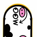 skateboards
