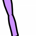 Leg