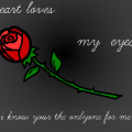 My love