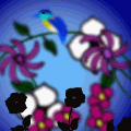 'Blue bird'