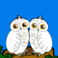 'Snowy owls.'