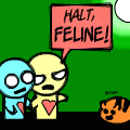 feline