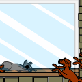krotches adventure
