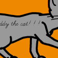 the cat