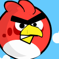 TotD: Birds