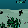  Fish and Their Pee