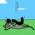 'Curiosity killed the cat'