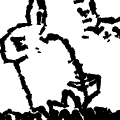 Cute Bunny :D