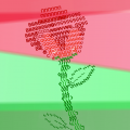 a rose is a rose is a rose