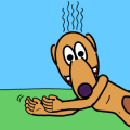 CatDog!
