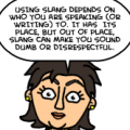Using Slang