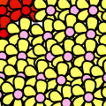 'Flowerbed'