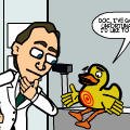 TotD: Ducks