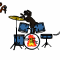 PETZ 7