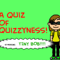 A Quiz Of Quizzyness!