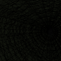 more than one web