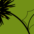 dandelion dreams