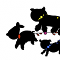 the dog walker
