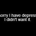 I'm sorry.
