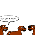 The Furry Friends