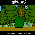 Ninjas