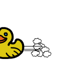 TotD: Ducks