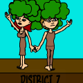 'District 7 parade float'