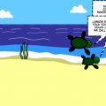 'PCC Turtles'