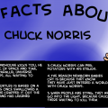 Ten Facts About Chuck Norris