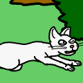 Cat's 2