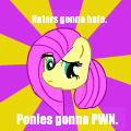 Courage Fluttershy