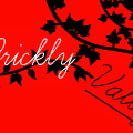 Prickly Vally