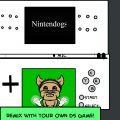 remix ds!