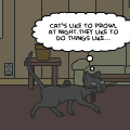 normle times for cat